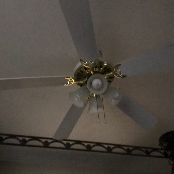 Meet your Posher, Javius - Picture 1 of 1